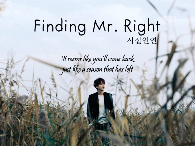 Finding Mr. Right.jpg